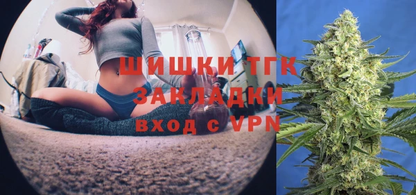 гидропоника Алзамай