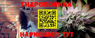 бошки Будённовск