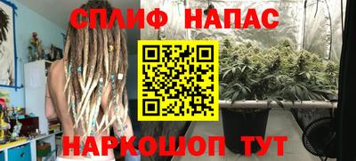 гашик Бугуруслан