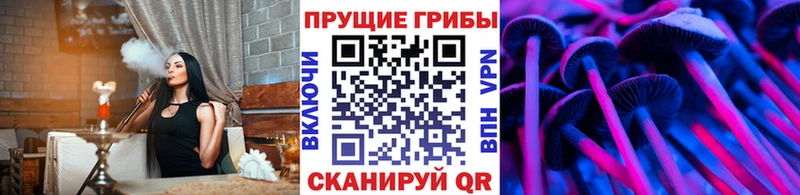 Псилоцибиновые грибы Magic Shrooms  Нефтекамск 